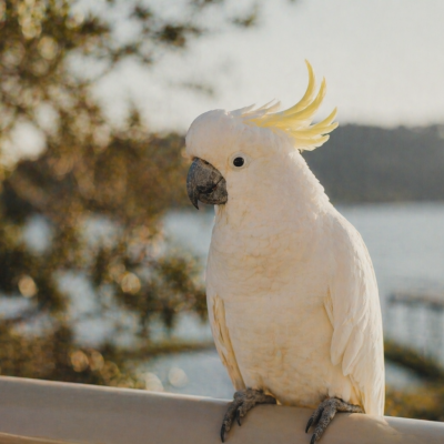 ChatGPT Image Apr 22, 2026, 02_58_38 PM